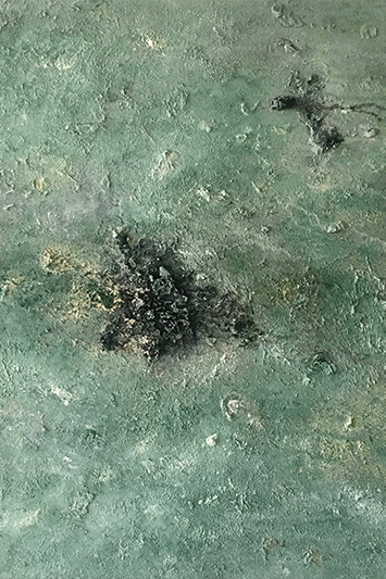 “De la naturaleza al lienzo: Make it happen if not now, when?”